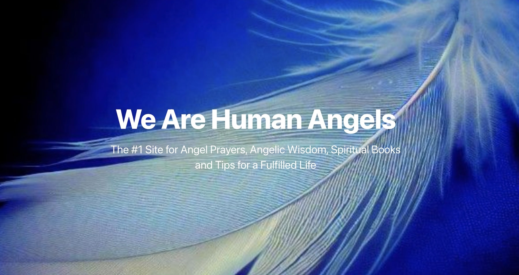 What Is A Human Angel? – Deva Avatar